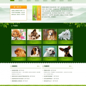 宠物饲养育种机构网站源码（带手机版数据同步）